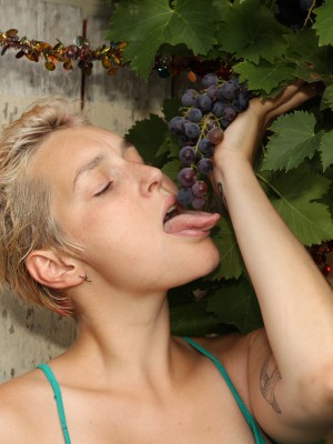Lusty Grapes